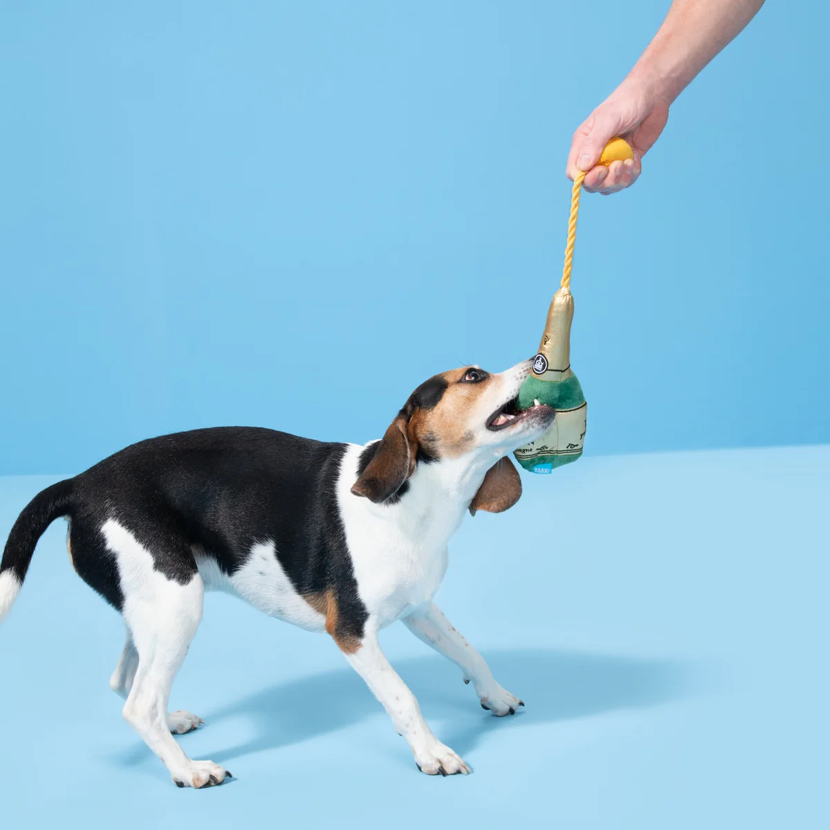 Dog Perignon Plush Tug Dog Toy - Image 3