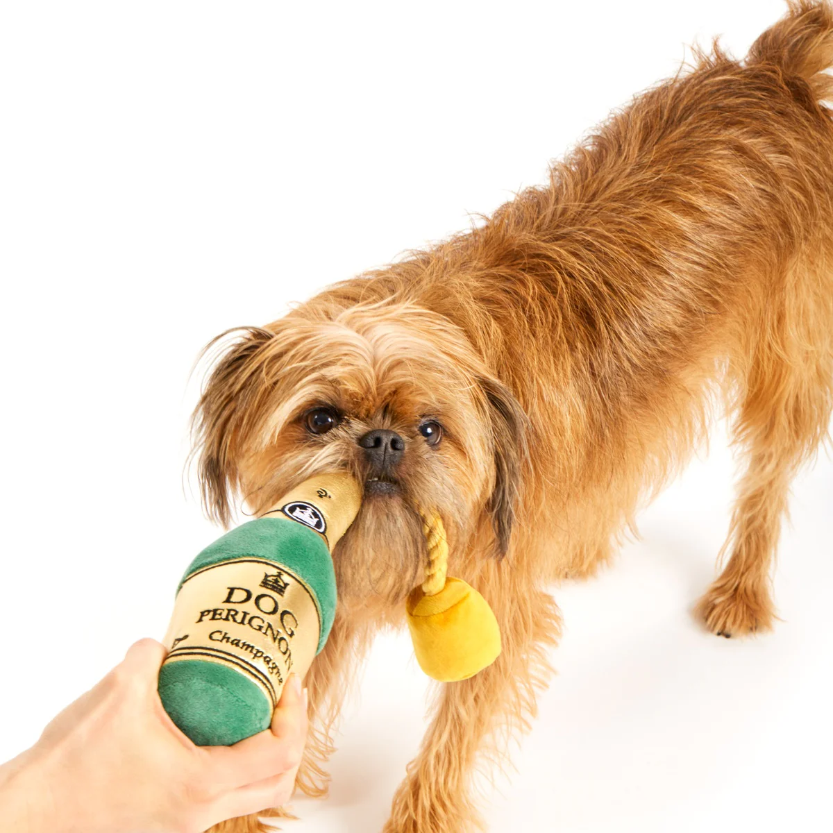Dog Perignon Plush Tug Dog Toy - Image 5