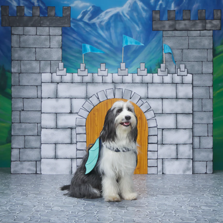 Doggo Dragon Wings Costume + Wearable Dog Toy - Image 4