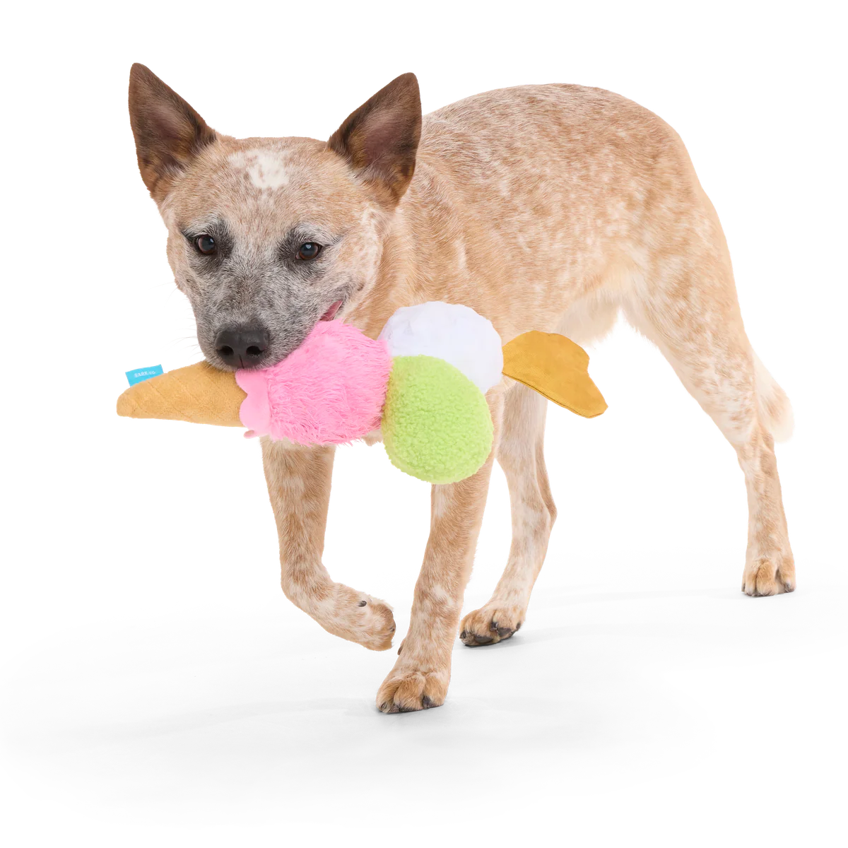 D'oggo Gelato Plush Tug Dog Toy - Image 2
