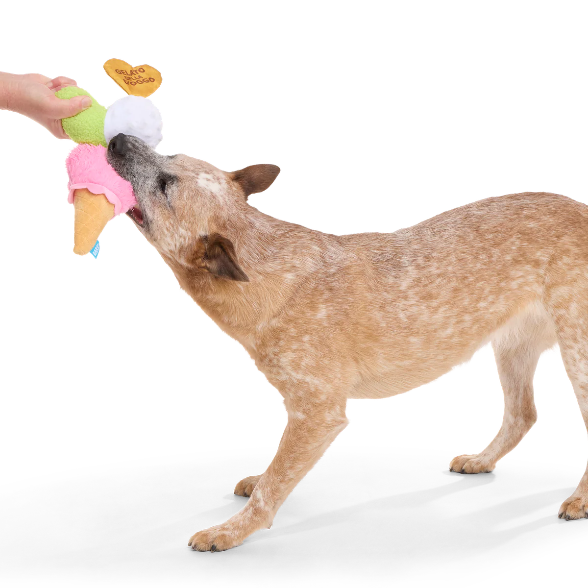 D'oggo Gelato Plush Tug Dog Toy - Image 3