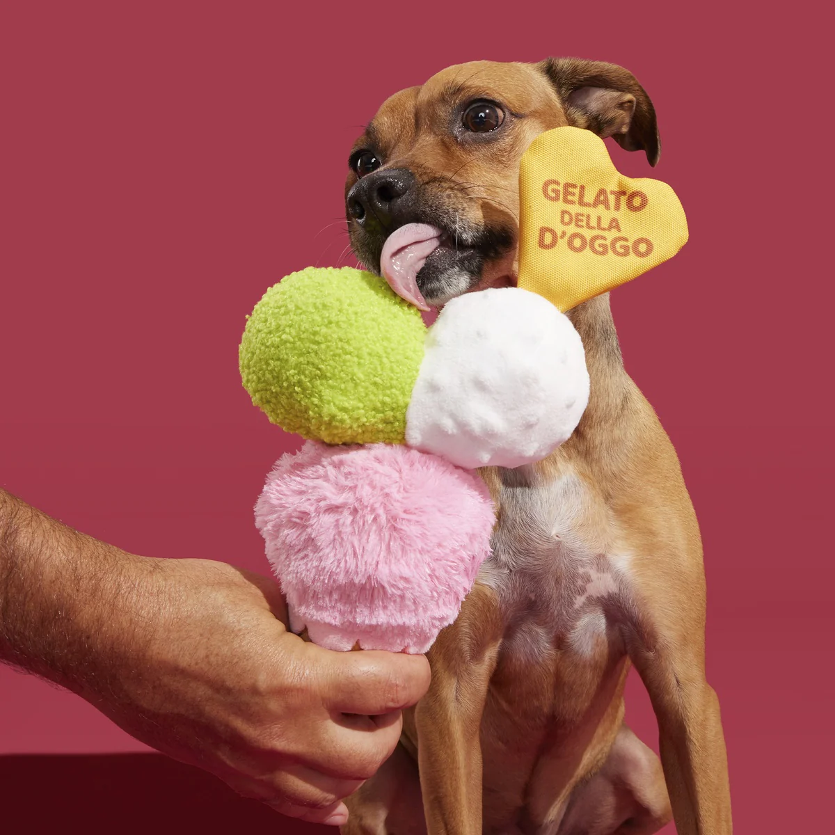 D'oggo Gelato Plush Tug Dog Toy - Image 4