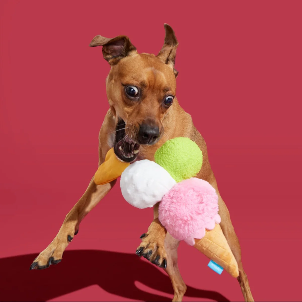 D'oggo Gelato Plush Tug Dog Toy - Image 5