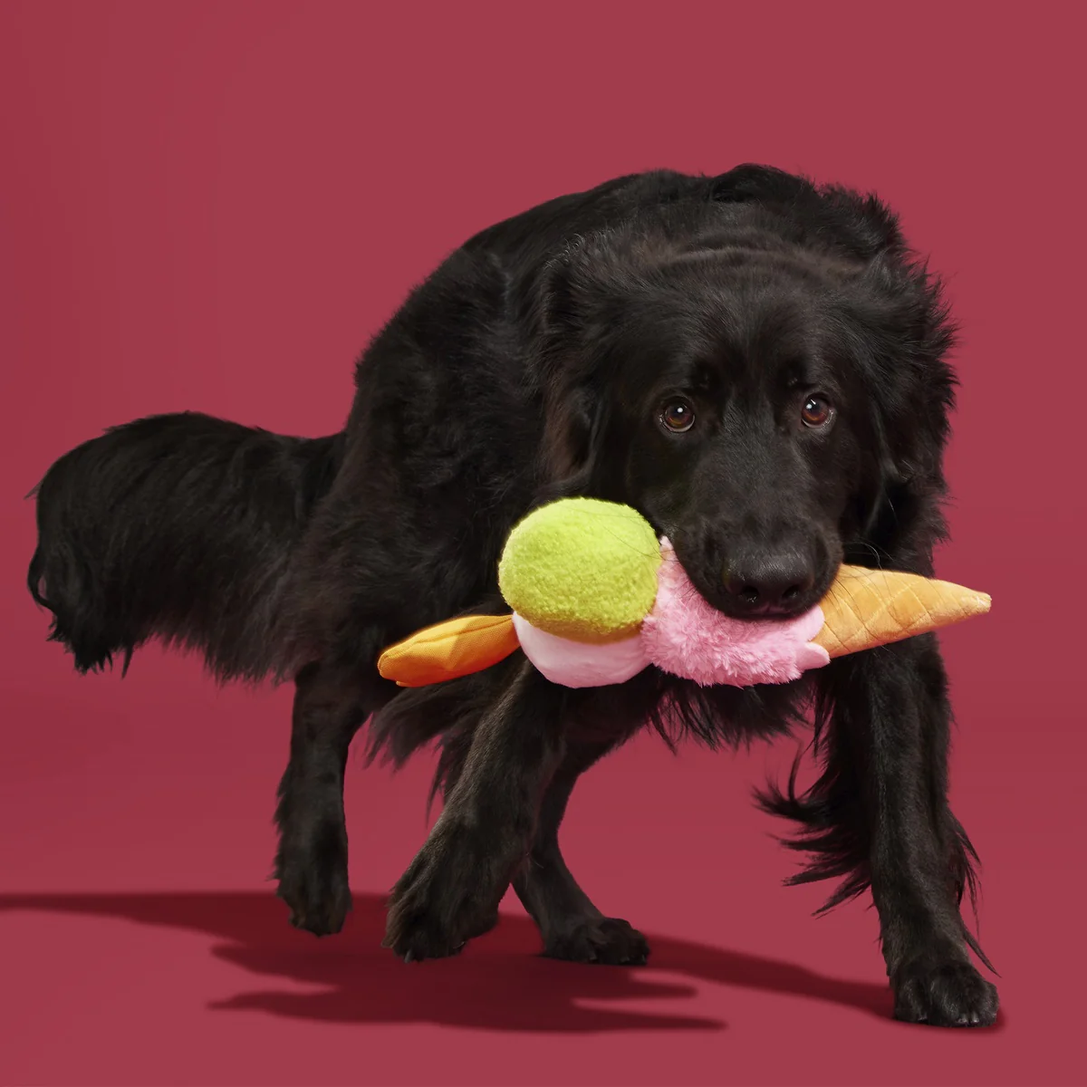 D'oggo Gelato Plush Tug Dog Toy - Image 6
