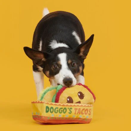 Doggo's Tacos Plush Multi-Part Dog Toy - Image 4
