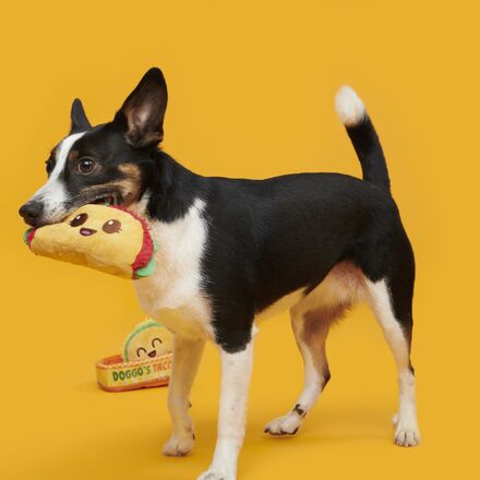 Doggo's Tacos Plush Multi-Part Dog Toy - Image 5