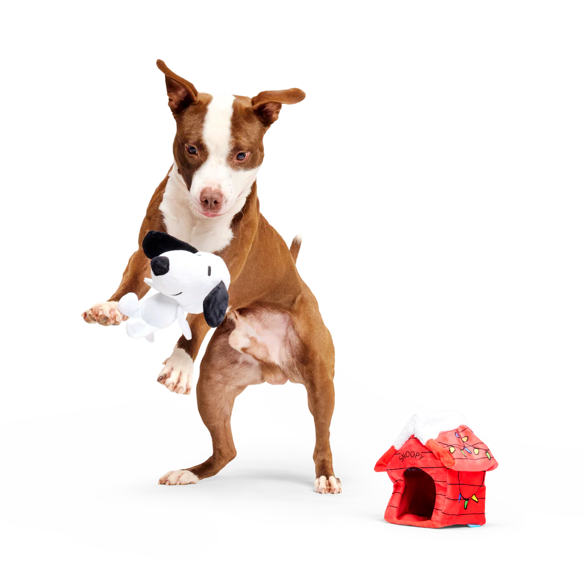 Doghouse Snoopy Plush Multi-Part Dog Toy - Image 4
