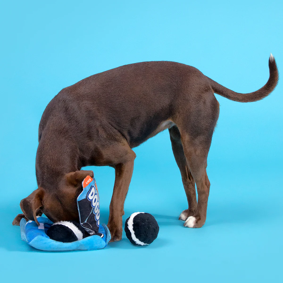 Dogo Dunkers Plush Enrichment + Multi-Part + Fetch Dog Toy - Image 2