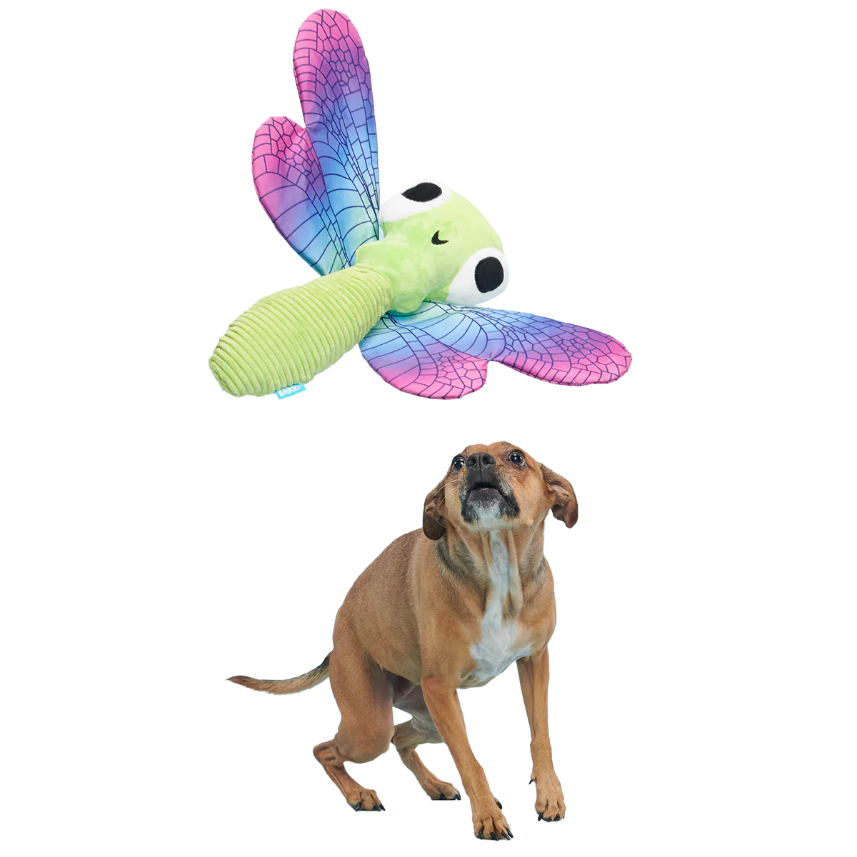 Dragonfly Guy Plush Tug + Extra-Large Dog Toy - Image 4