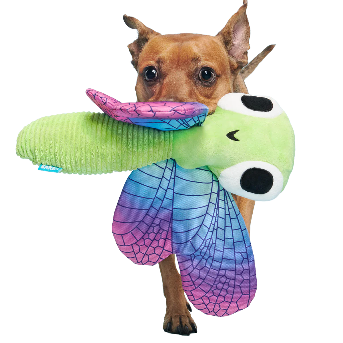 Dragonfly Guy Plush Tug + Extra-Large Dog Toy - Image 5