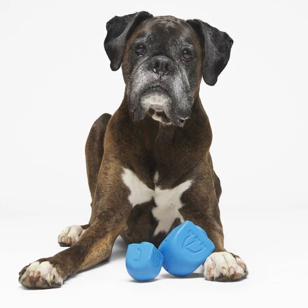 Dreidel Chompian Hanukkah Super Chewer Durable Dog Toy - Image 2