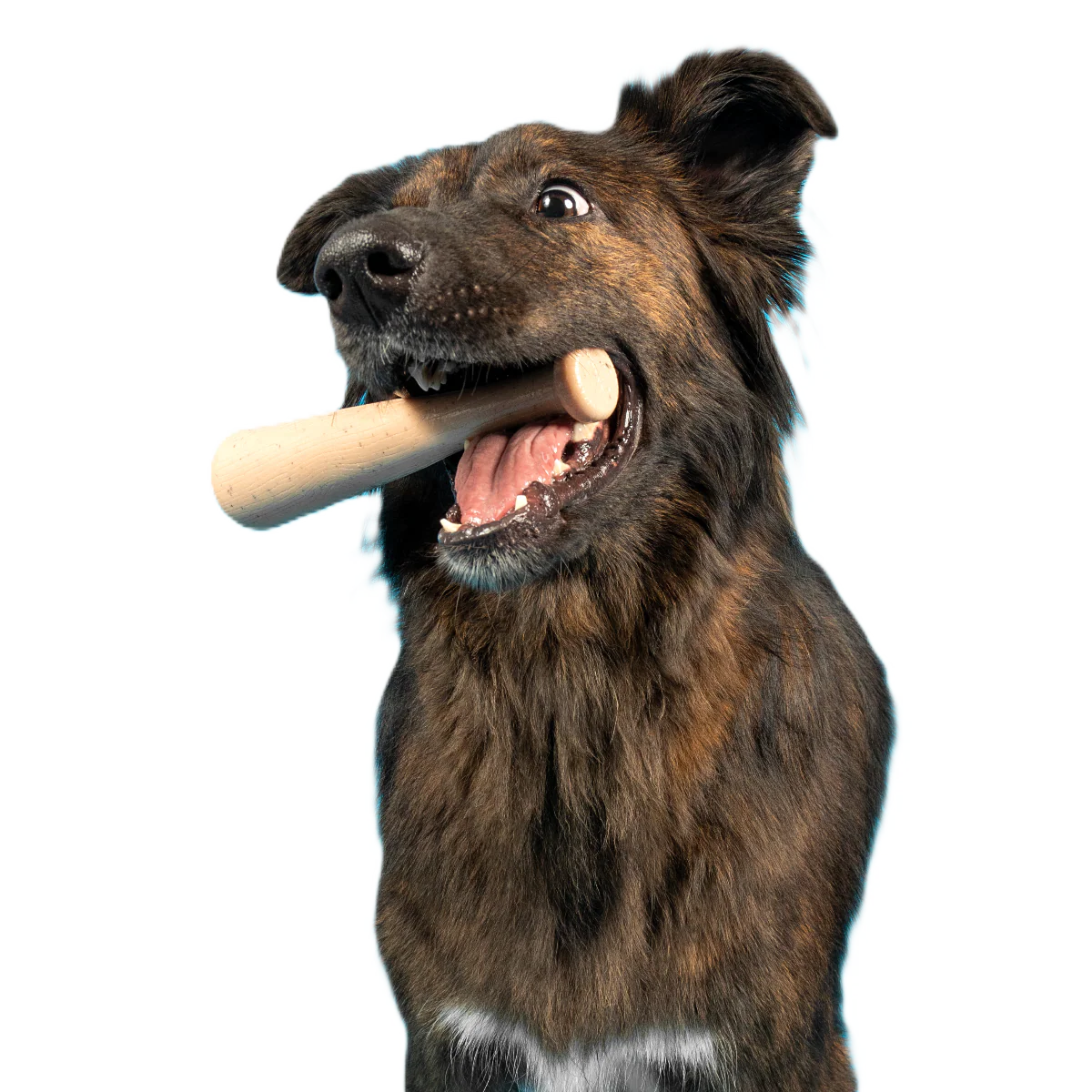 Drooleyville Slobber Super Chewer Durable Gnaw Dog Toy - Image 2