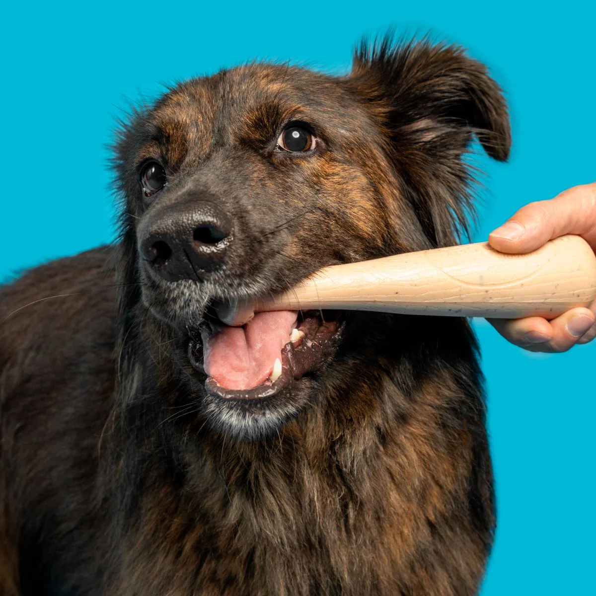 Drooleyville Slobber Super Chewer Durable Gnaw Dog Toy - Image 3