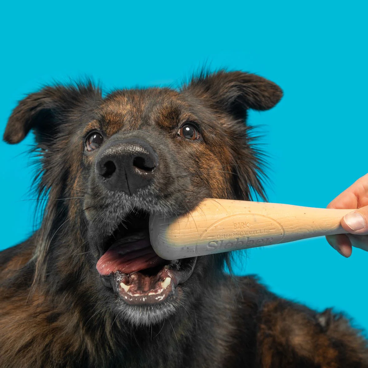 Drooleyville Slobber Super Chewer Durable Gnaw Dog Toy - Image 4