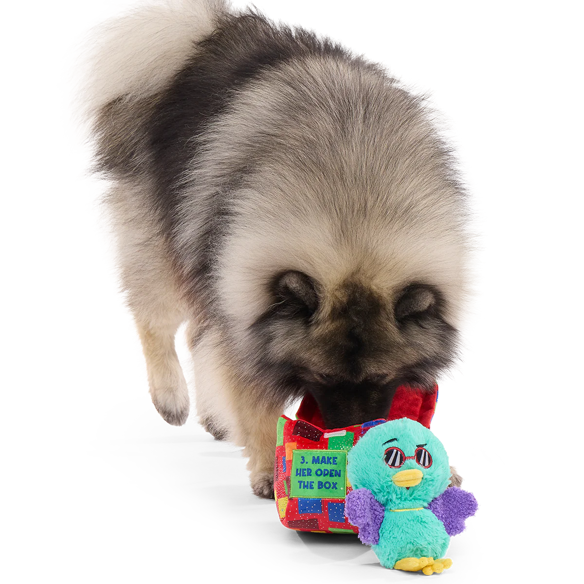 Saturday Night Live: Duck in A Box Plush Multi-Part + Enrichment Dog Toy - Image 5