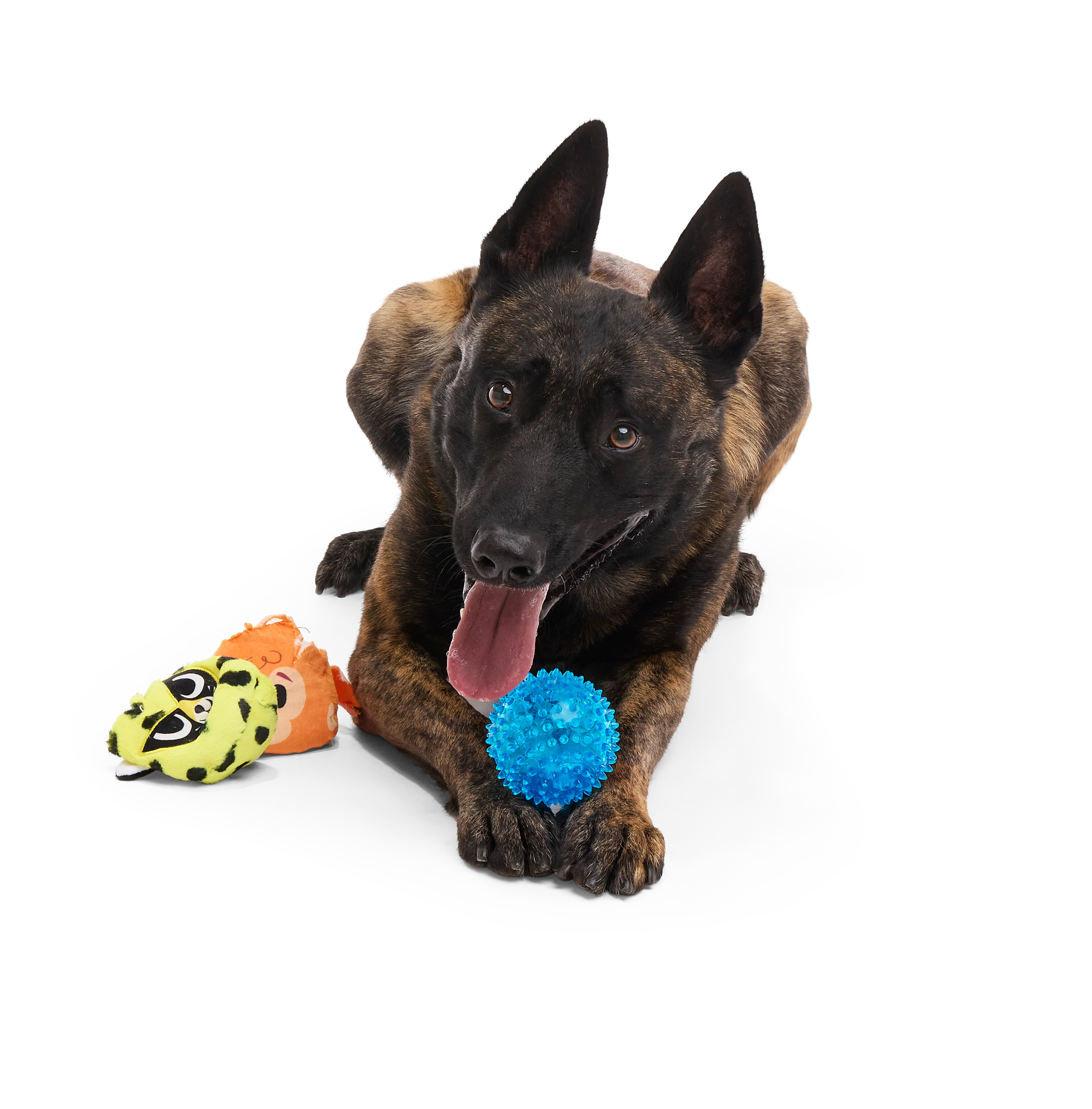 Duma Njaa Plush 2-in-1 Rip and Reveal + Fetch + Multi-Part Dog Toy - Image 3