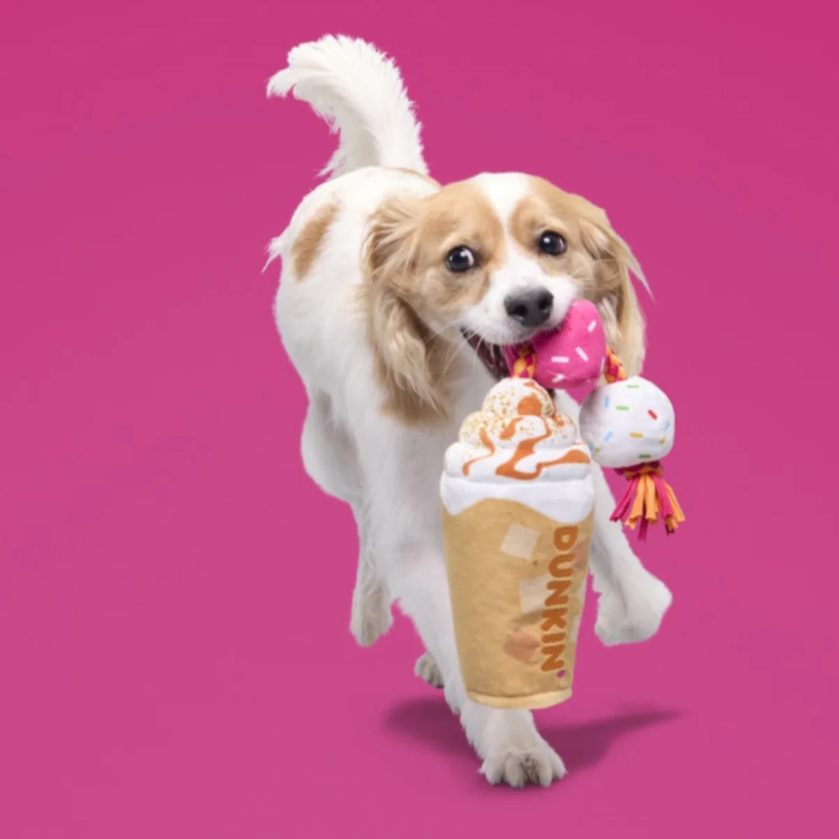 Dunkin'® Pumpkin Signature Latte Plush Tug Dog Toy - Image 4