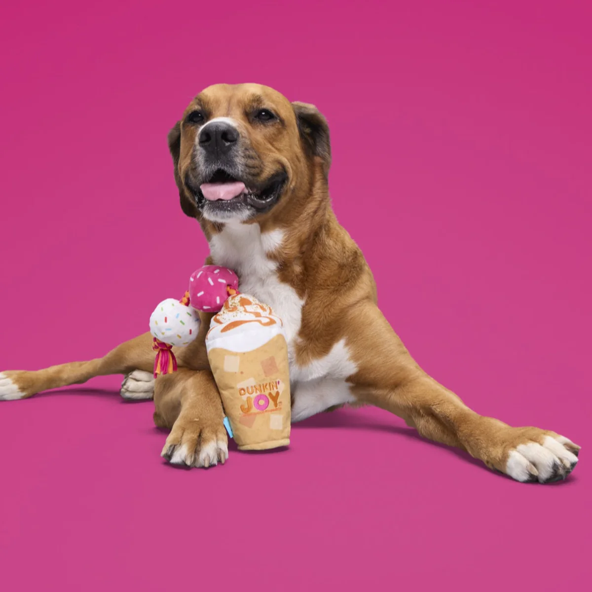Dunkin'® Pumpkin Signature Latte Plush Tug Dog Toy - Image 5