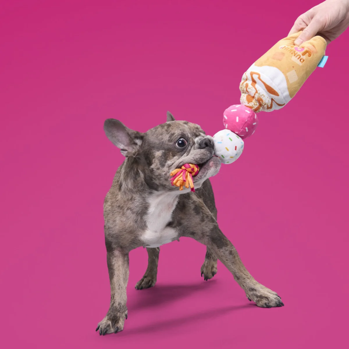 Dunkin'® Pumpkin Signature Latte Plush Tug Dog Toy - Image 6