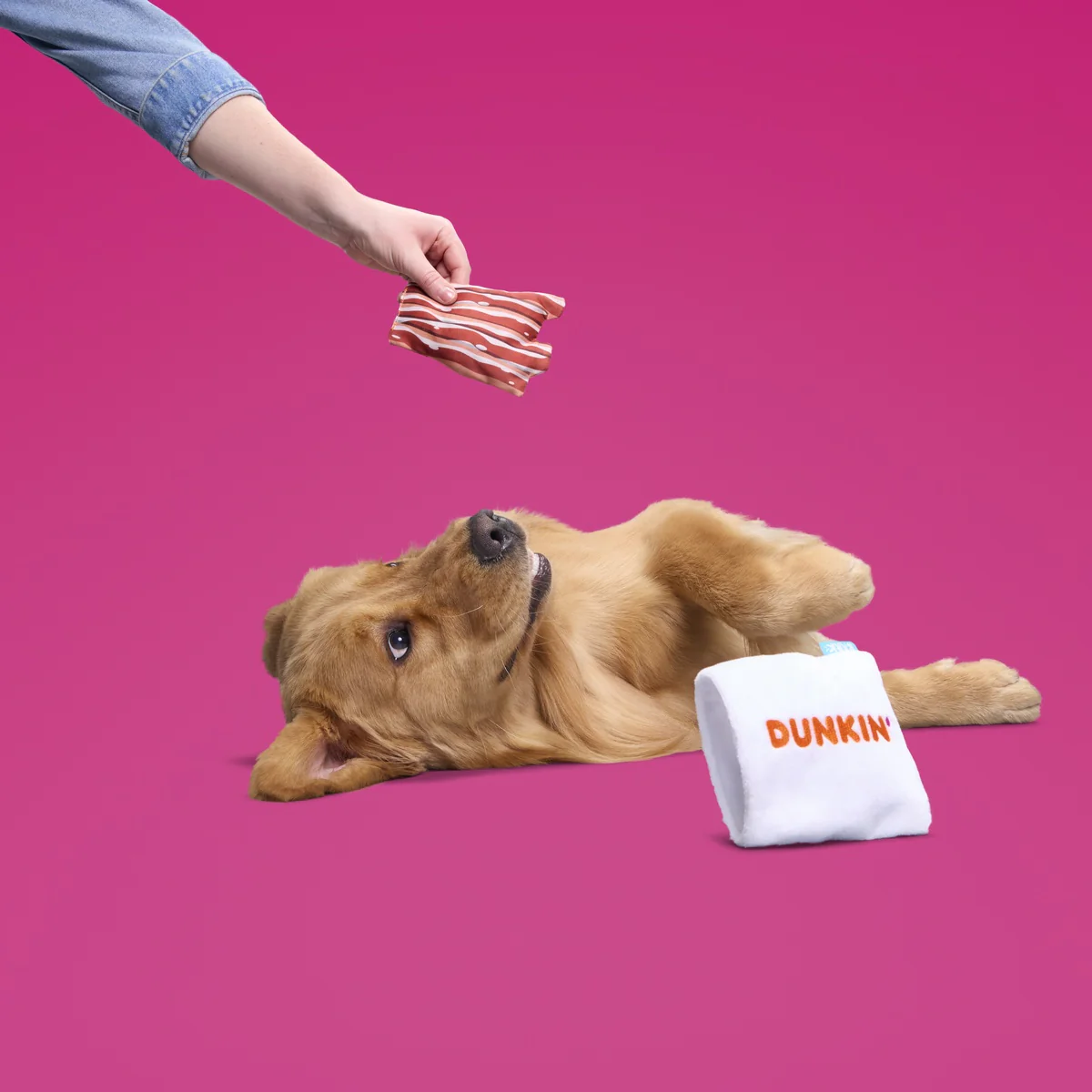 Dunkin'® Snackin' Bacon Plush Multi-Part + Enrichment Dog Toy - Image 4