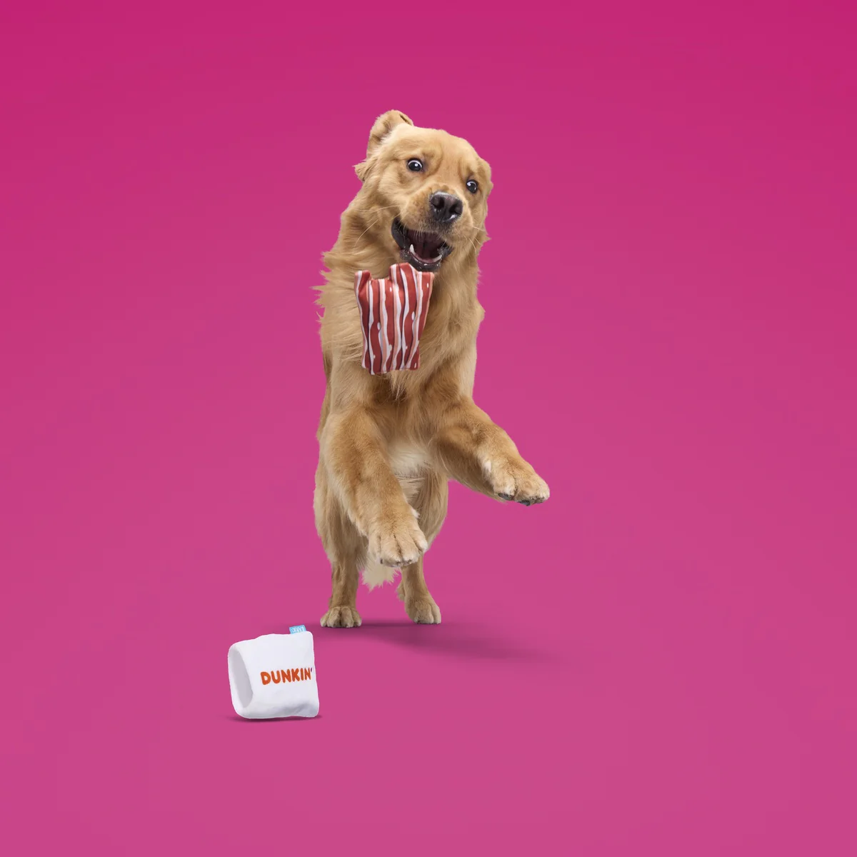 Dunkin'® Snackin' Bacon Plush Multi-Part + Enrichment Dog Toy - Image 5