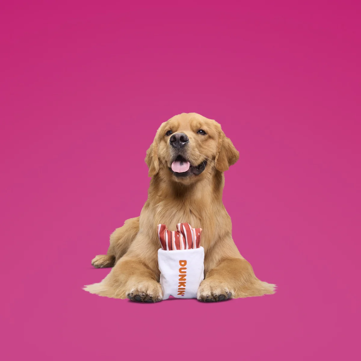 Dunkin'® Snackin' Bacon Plush Multi-Part + Enrichment Dog Toy - Image 6