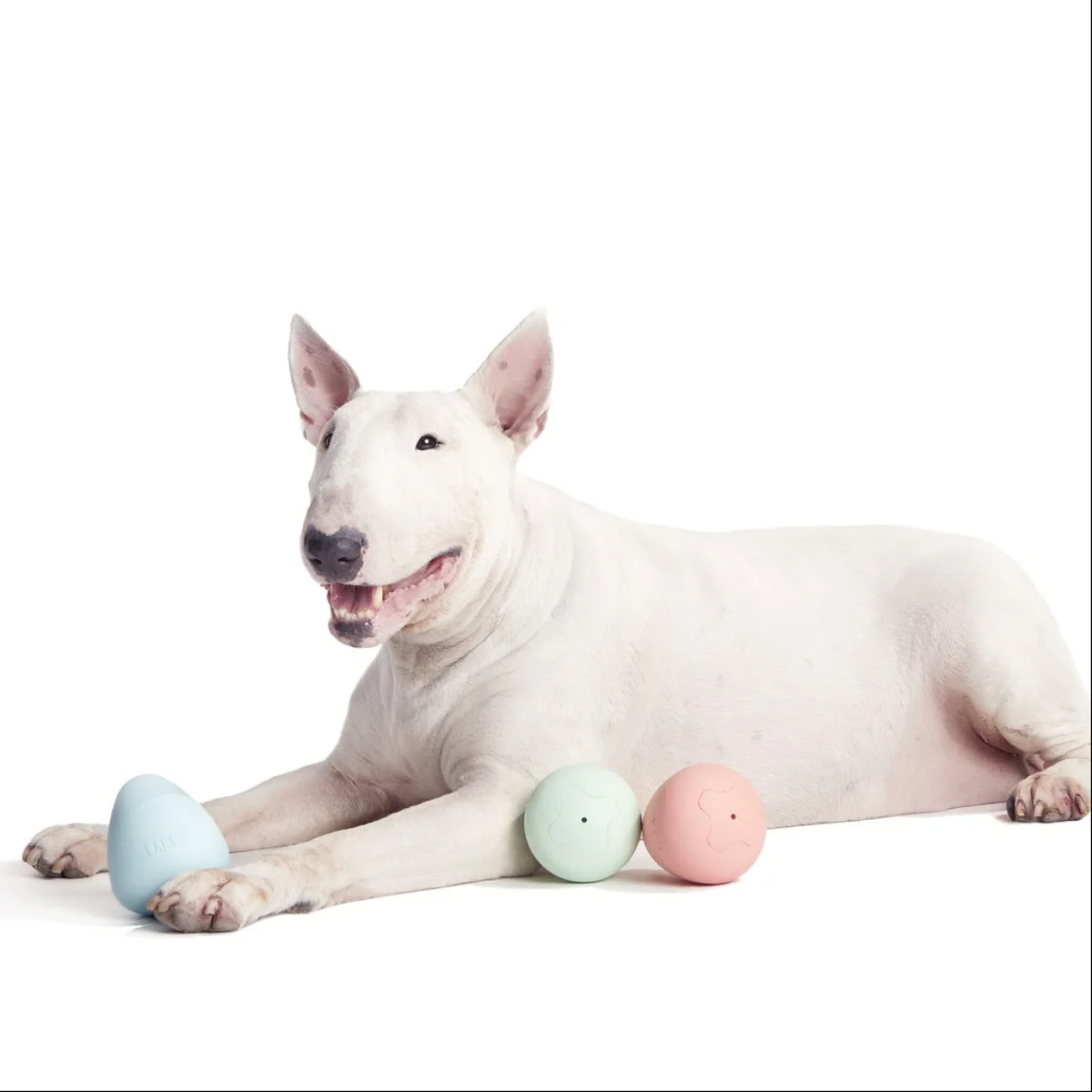 Easter Funday Bundle Super Chewer Durable Multi-Part Dog Toy - Image 4