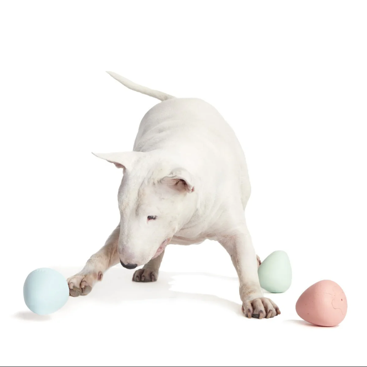 Easter Funday Bundle Super Chewer Durable Multi-Part Dog Toy - Image 5