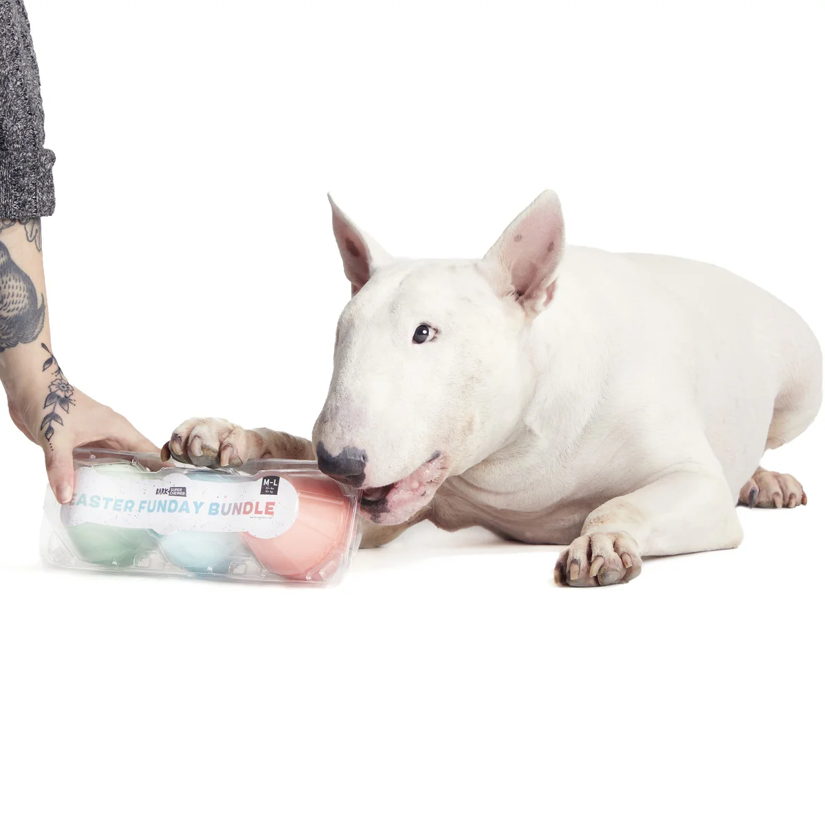 Easter Funday Bundle Super Chewer Durable Multi-Part Dog Toy - Image 6