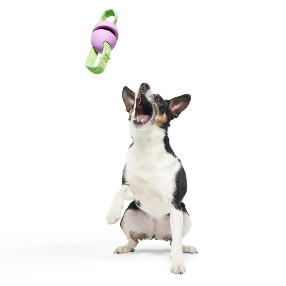 Egg-O-War Tug Super Chewer Durable Tug + Enrichment Dog Toy - Image 2