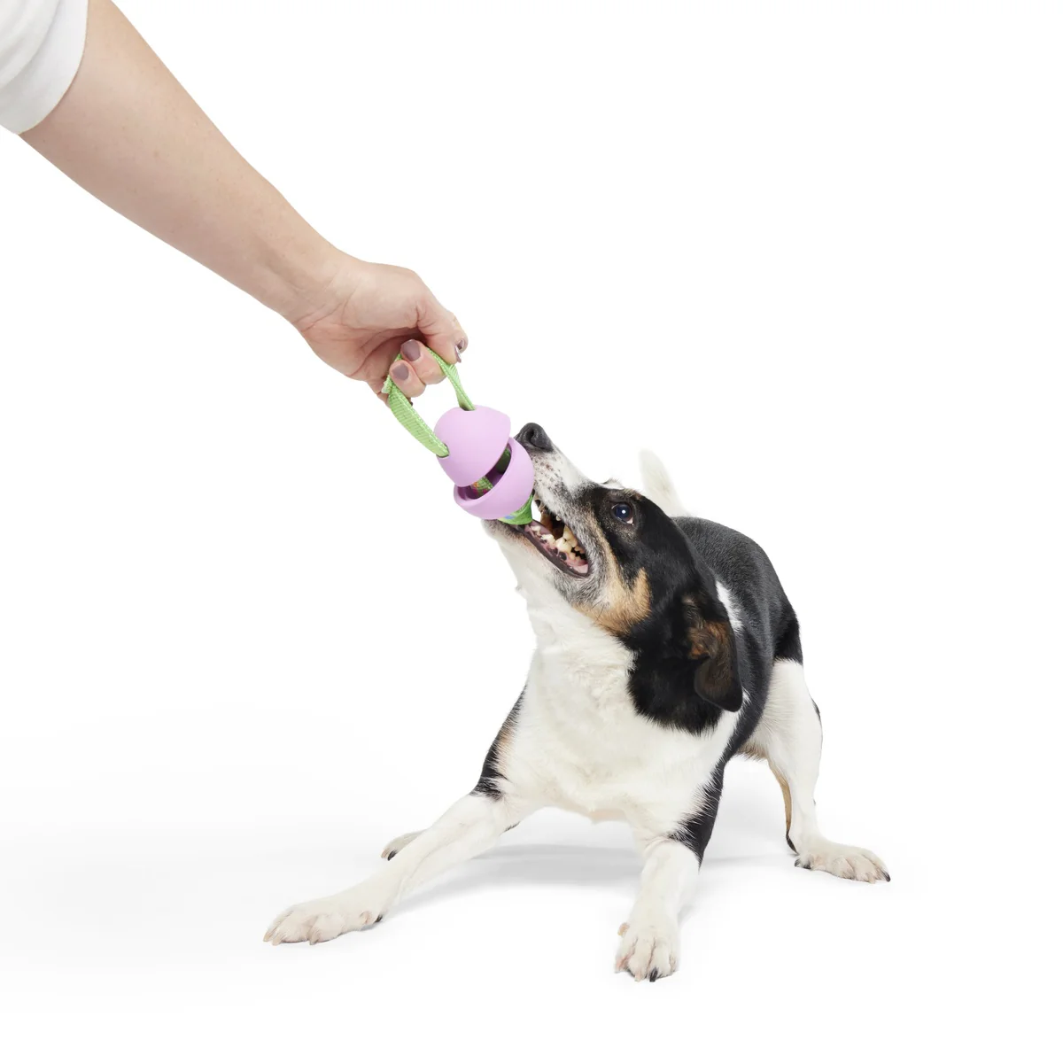 Egg-O-War Tug Super Chewer Durable Tug + Enrichment Dog Toy - Image 3