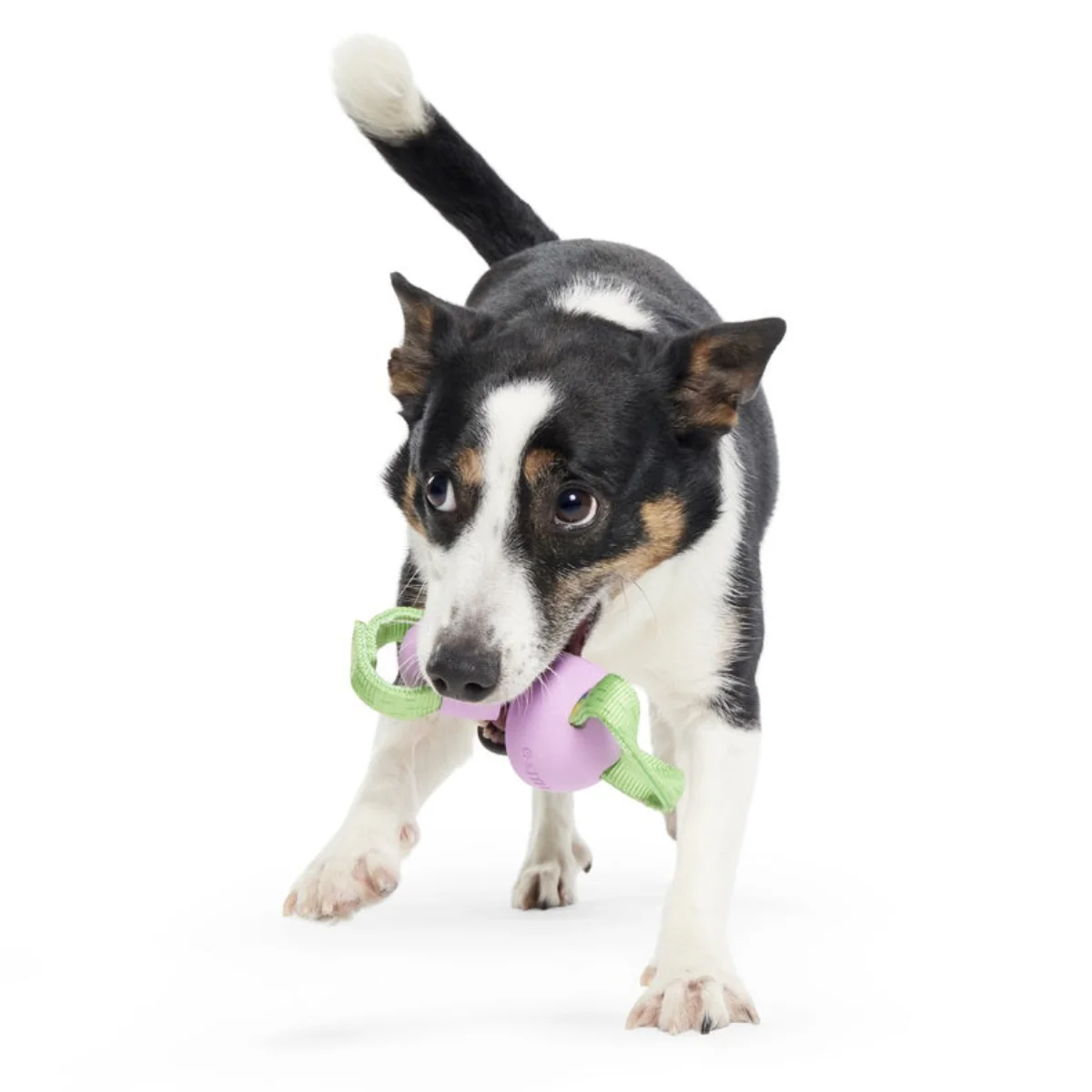 Egg-O-War Tug Super Chewer Durable Tug + Enrichment Dog Toy - Image 4