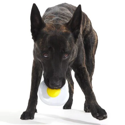 Egg Over Hard Durable Super Chewer Enrichment Dog Toy - Image 2