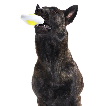 Egg Over Hard Durable Super Chewer Enrichment Dog Toy - Image 6