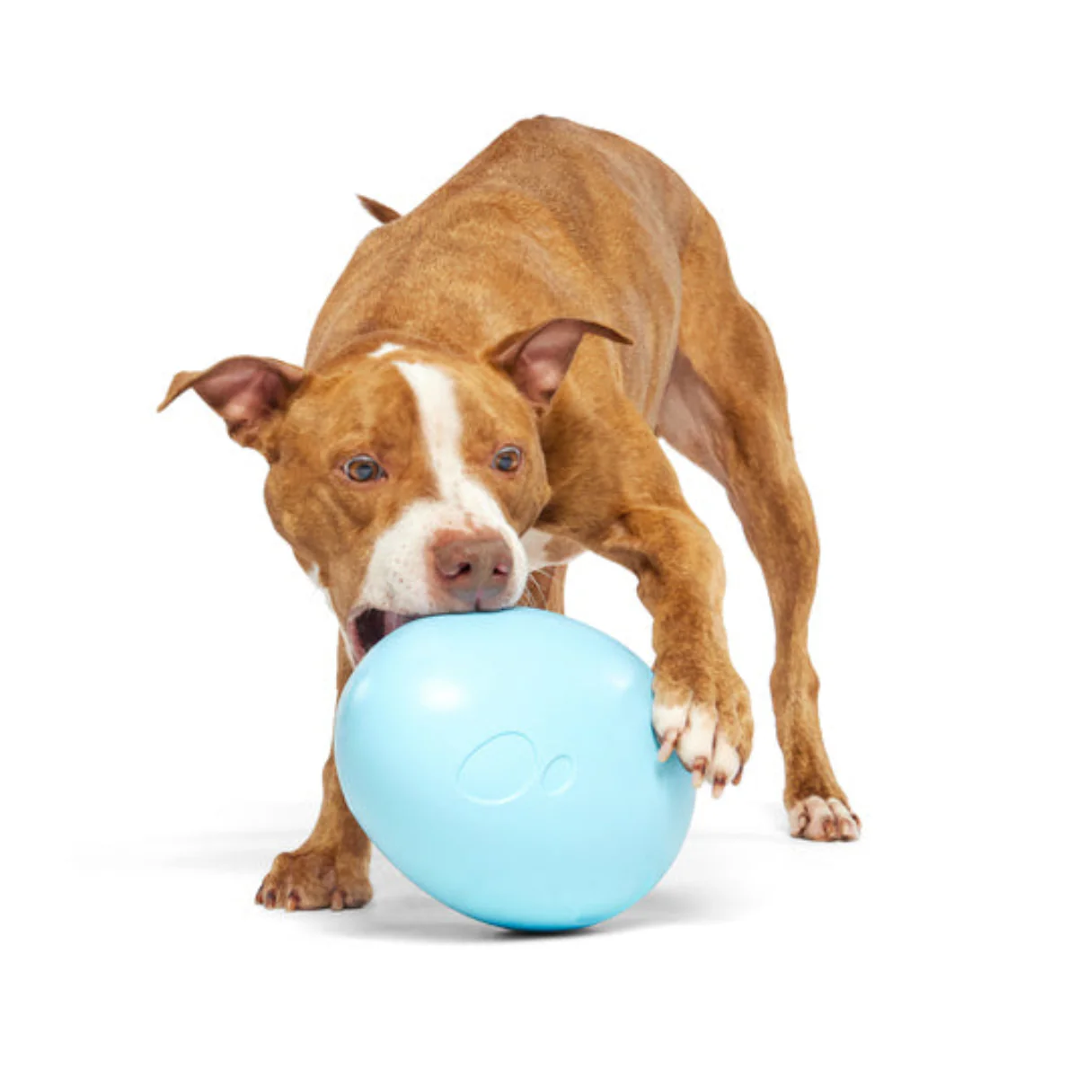Eggstra Large Easter Egg Durable Super Chewer Fetch + Extra-Large Dog Toy - Image 3