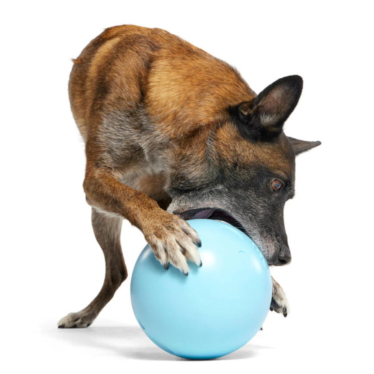 Eggstra Large Easter Egg Durable Super Chewer Fetch + Extra-Large Dog Toy - Image 4