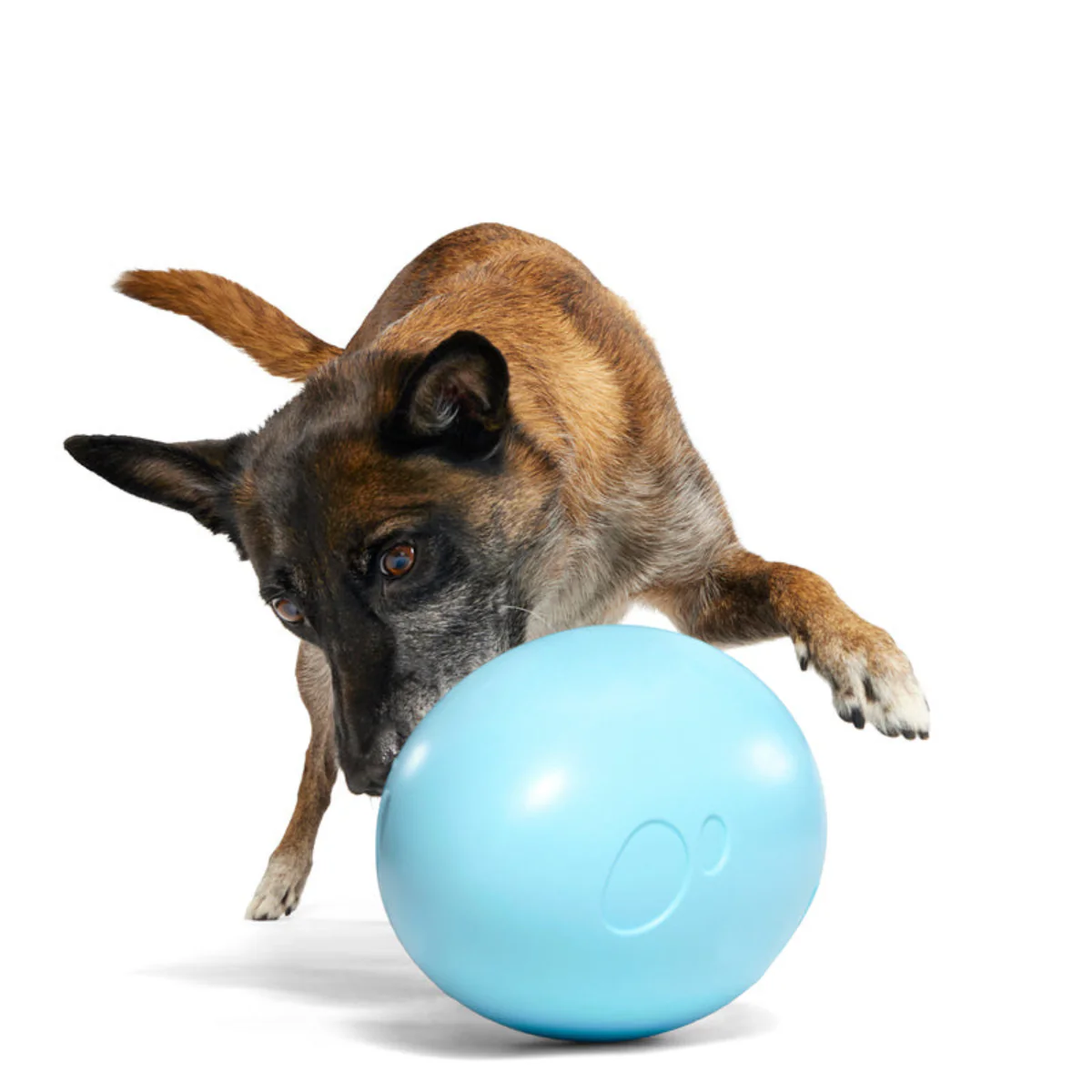 Eggstra Large Easter Egg Durable Super Chewer Fetch + Extra-Large Dog Toy - Image 5