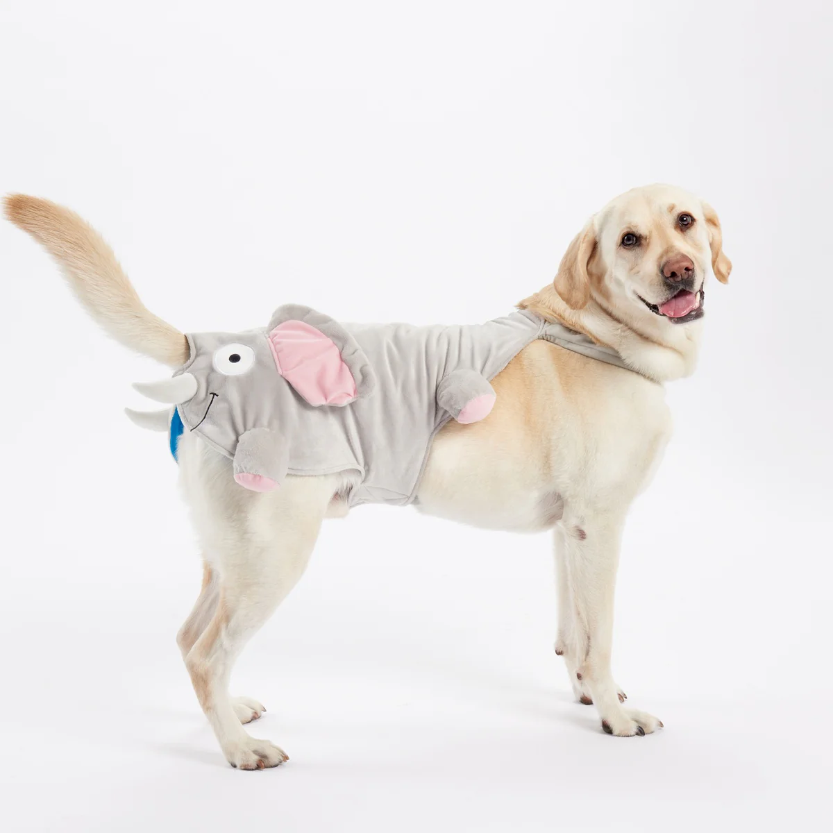 Elephant Dog Costume - Image 3