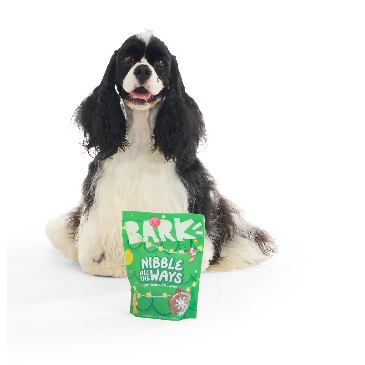 Elf Dog Toy & Treat Holiday Gift Box - Image 13