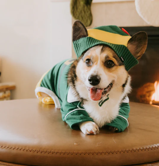 Elf Dog Toy & Treat Holiday Gift Box - Image 2