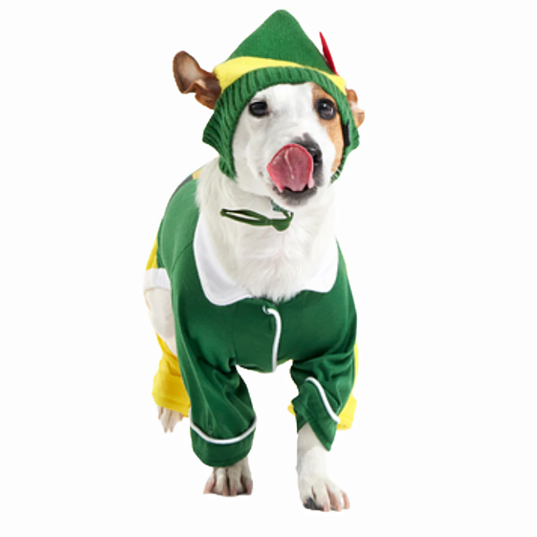 Elf Dog Toy & Treat Holiday Gift Box - Image 3