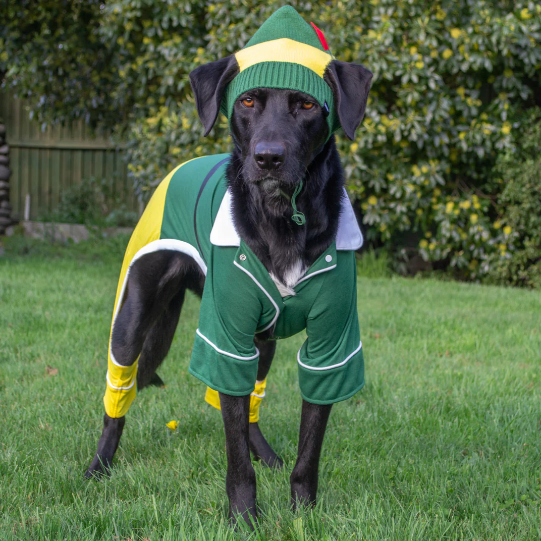 Elf Dog Toy & Treat Holiday Gift Box - Image 7