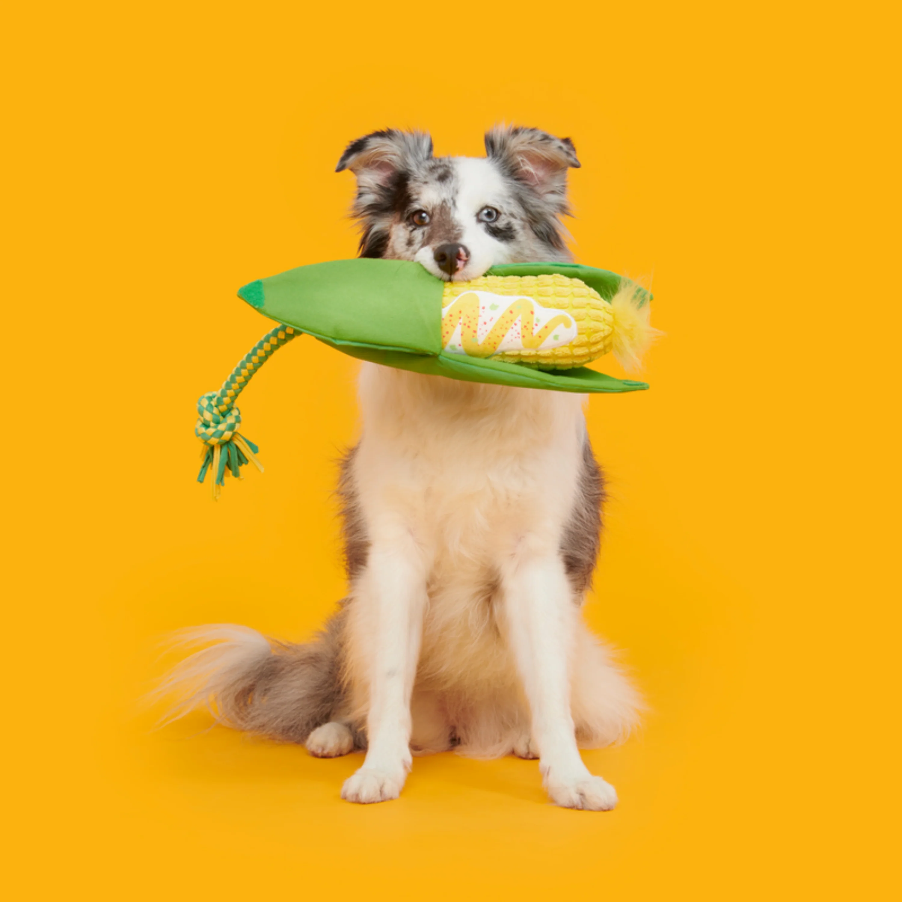 Elote Fun Corn Plush Tug Dog Toy - Image 2
