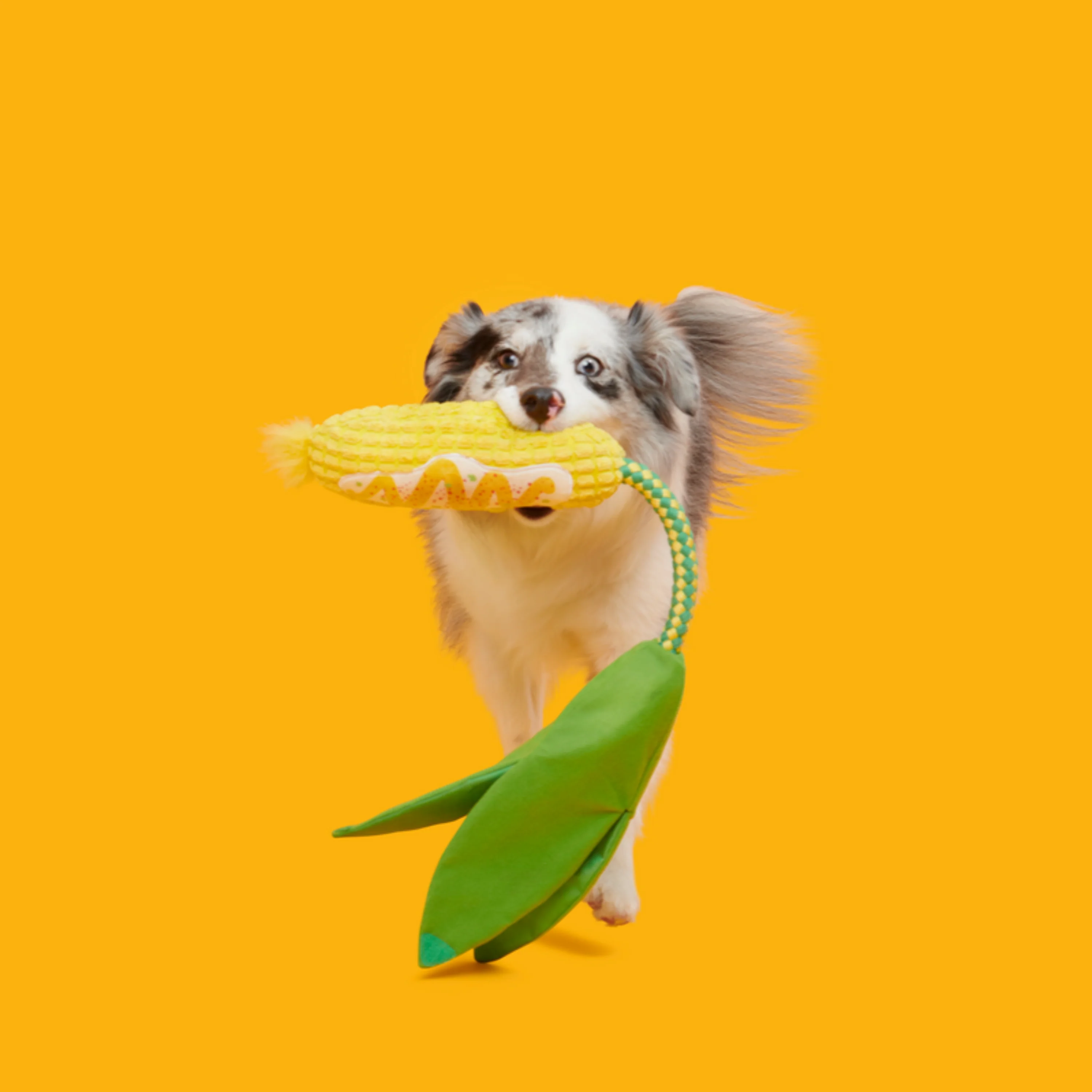 Elote Fun Corn Plush Tug Dog Toy - Image 3