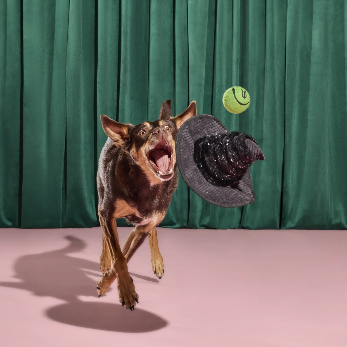 Elphaba's Ozdust Hat Plush 2-in-1 + Fetch Dog Toy - Image 5
