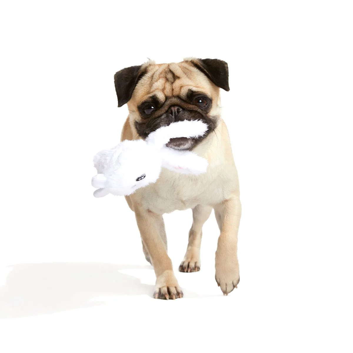 Esther Bunny Plush 2-in-1 Rip and Reveal Dog Toy - Image 2