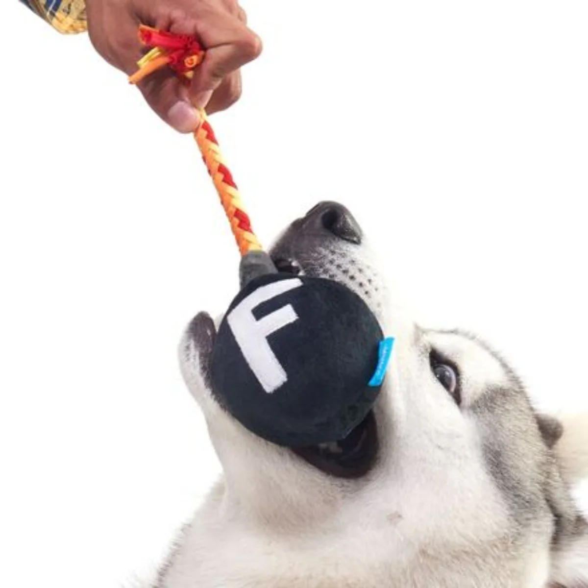 F Bomb Plush Tug Dog Toy - Image 3