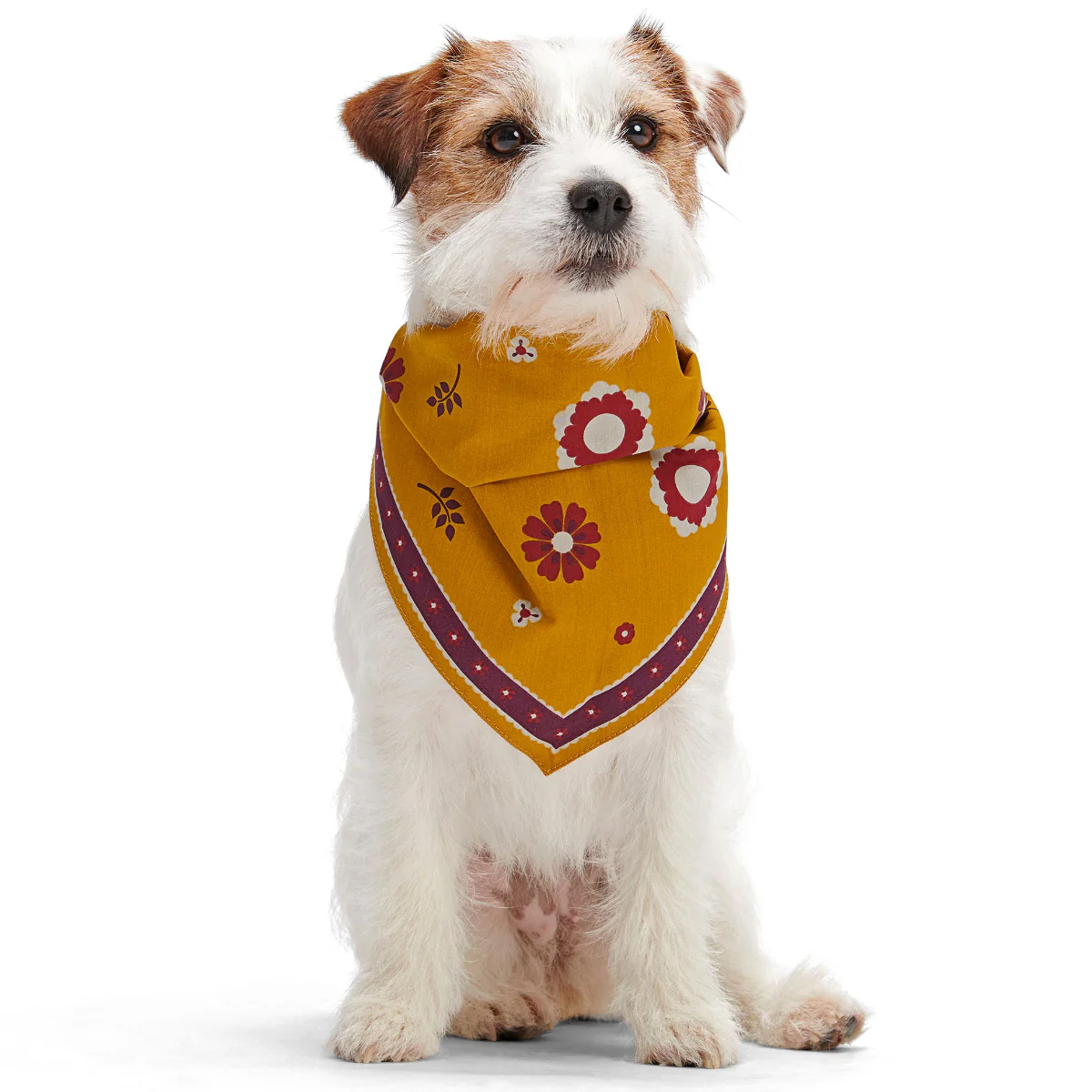 Fall Reversible Dog Bandana - Image 4