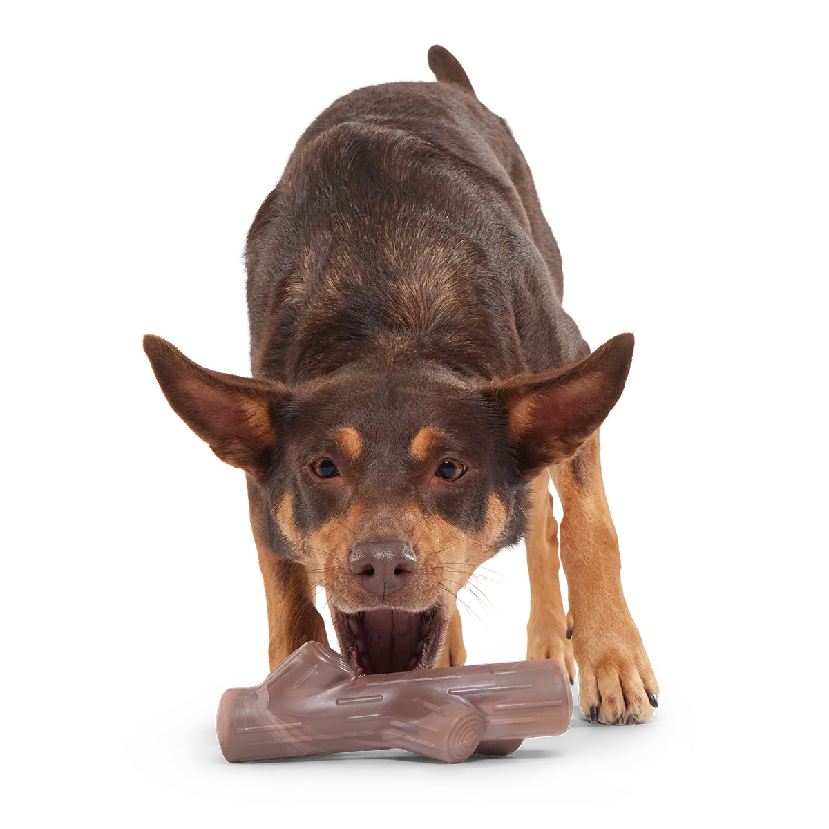 Fall Fetch Stick Super Chewer Durable Gnaw Dog Toy - Image 3