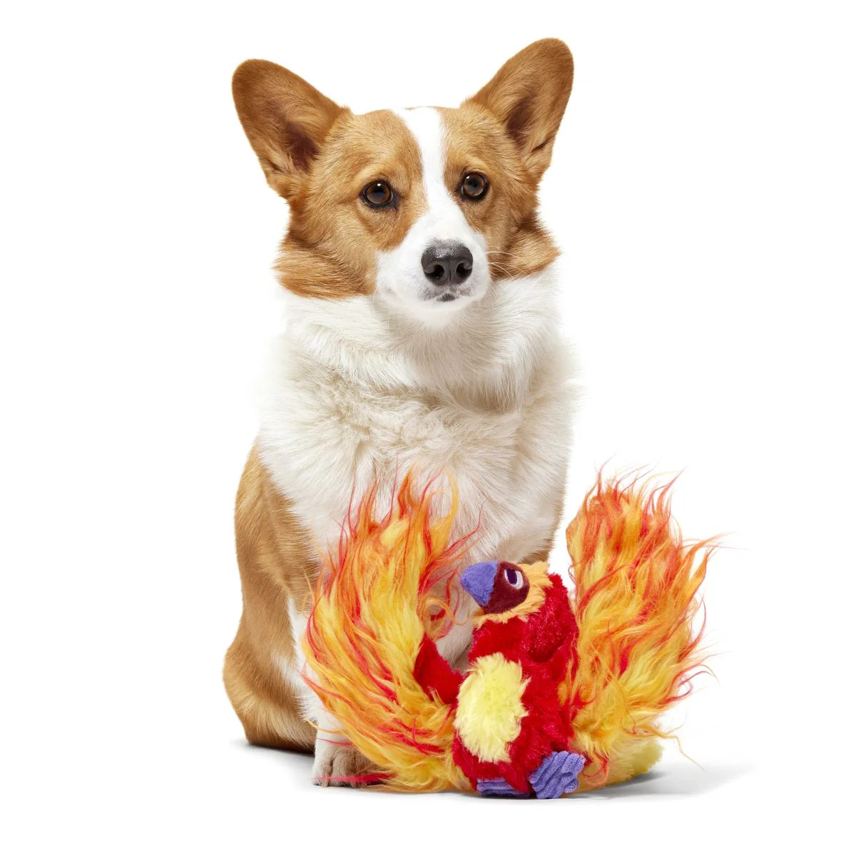Fawkes™ Plush Tug Dog Toy - Image 2